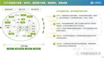 国产21页,揭秘我国科技发展的新篇章  第3张