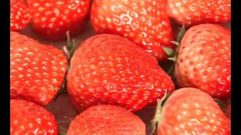 国产草莓视频,视频带你领略田园风光与美味果实  第2张