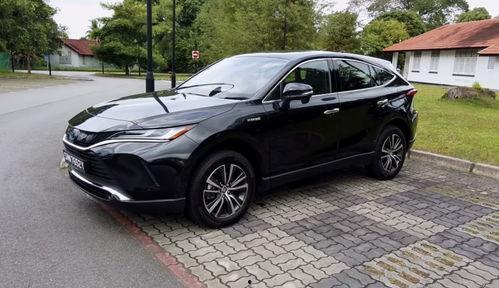 91p国产,揭秘神秘东方古国的历史与文化  第2张