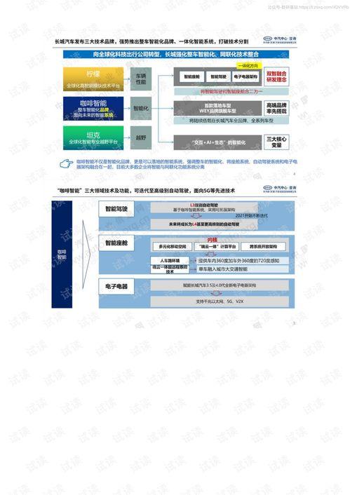 国产16页,揭秘我国创新科技发展新篇章  第3张