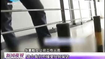 国产Jizzcom,探索中国网络影视产业的创新与突破