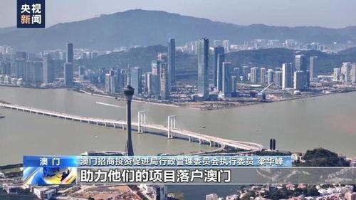 国产精区,引领科技潮流，打造民族品牌新高度  第3张