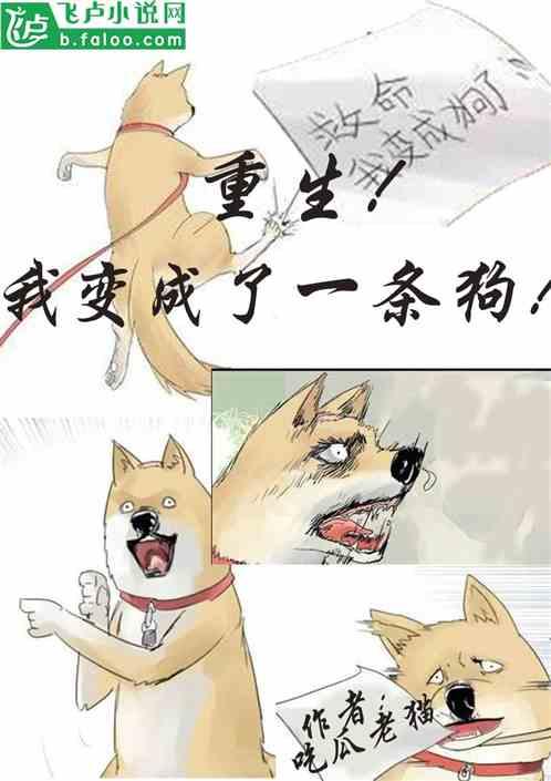 娱乐圈猫猫吃瓜小说,猫猫吃瓜，揭秘明星幕后风云